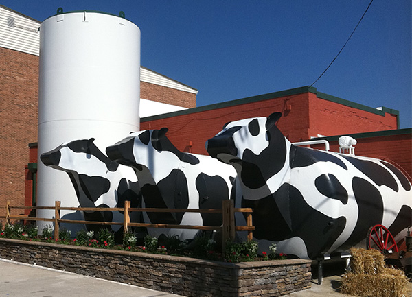 ashe-county-cheese
